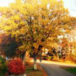 org:/landingpages/winnaars DK NO SE/12e-prize-scandinavie.jpg